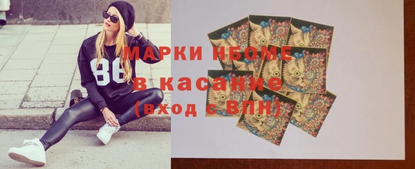 ПСИЛОЦИБИНОВЫЕ ГРИБЫ Дмитриев