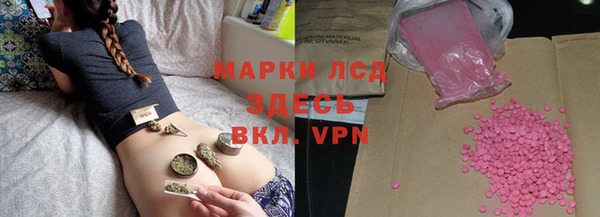 ПСИЛОЦИБИНОВЫЕ ГРИБЫ Дмитриев