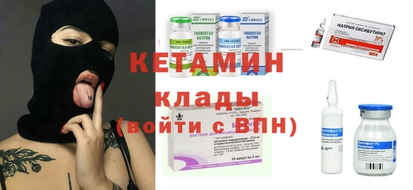 прущие грибы Горно-Алтайск