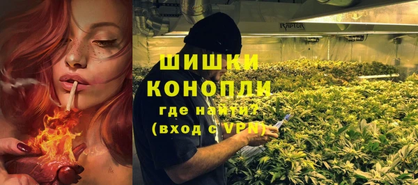 ПСИЛОЦИБИНОВЫЕ ГРИБЫ Дмитриев