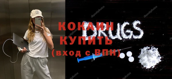 сатива Елизово