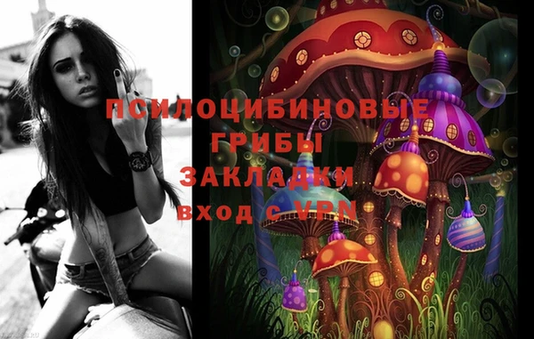 ПСИЛОЦИБИНОВЫЕ ГРИБЫ Дмитриев