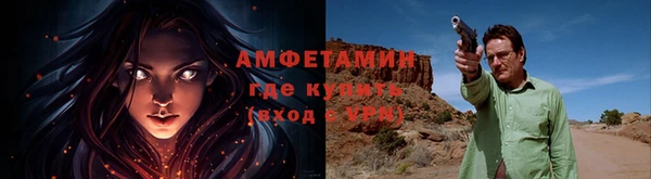 прущие грибы Горно-Алтайск