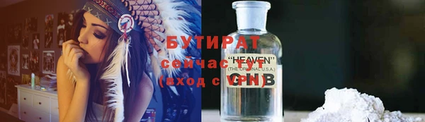 ПСИЛОЦИБИНОВЫЕ ГРИБЫ Дмитриев