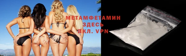 ПСИЛОЦИБИНОВЫЕ ГРИБЫ Дмитриев