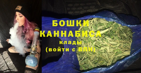 индика Ельня