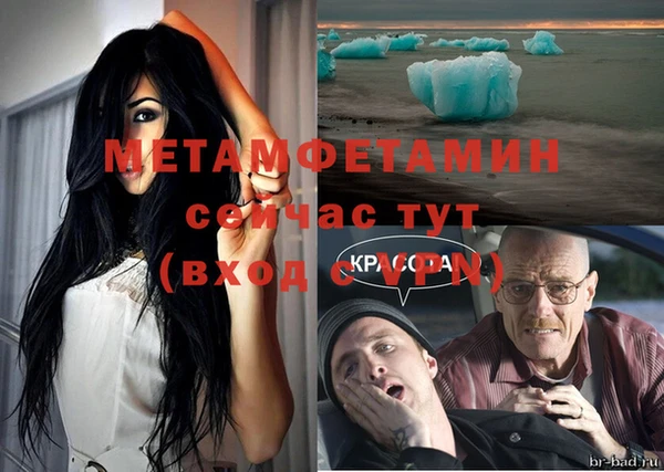 ПСИЛОЦИБИНОВЫЕ ГРИБЫ Дмитриев