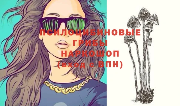 ПСИЛОЦИБИНОВЫЕ ГРИБЫ Дмитриев