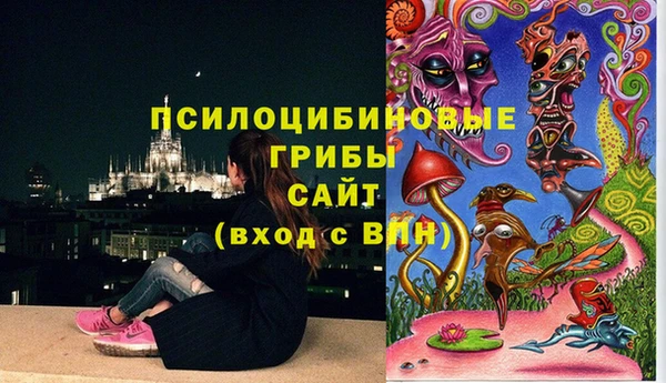 прущие грибы Горно-Алтайск
