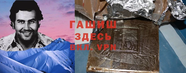 ПСИЛОЦИБИНОВЫЕ ГРИБЫ Дмитриев