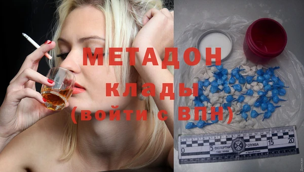 ПСИЛОЦИБИНОВЫЕ ГРИБЫ Дмитриев