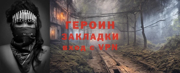 ПСИЛОЦИБИНОВЫЕ ГРИБЫ Дмитриев