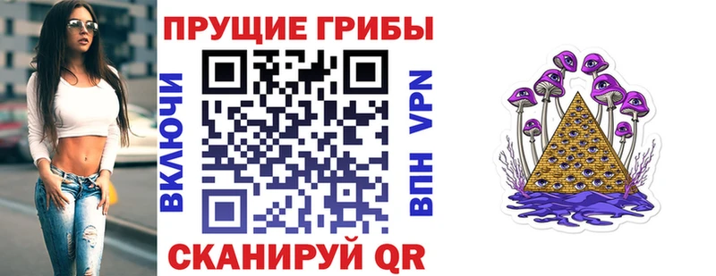 нарко площадка клад Козельск Галлюциногенные грибы Psilocybe