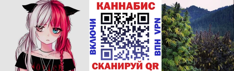 Конопля сатива Козельск