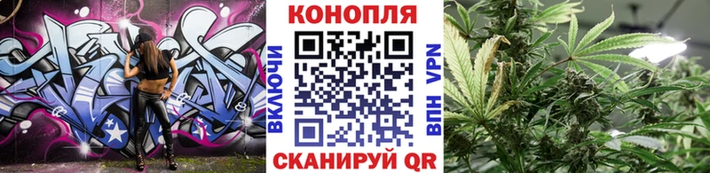купить  сайты  Козельск  Шишки марихуана план 